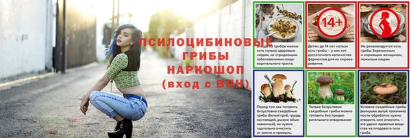 spice Козельск