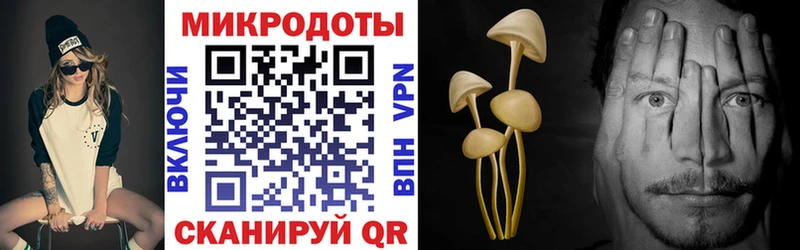 Псилоцибиновые грибы ЛСД  Купить  Болохово 